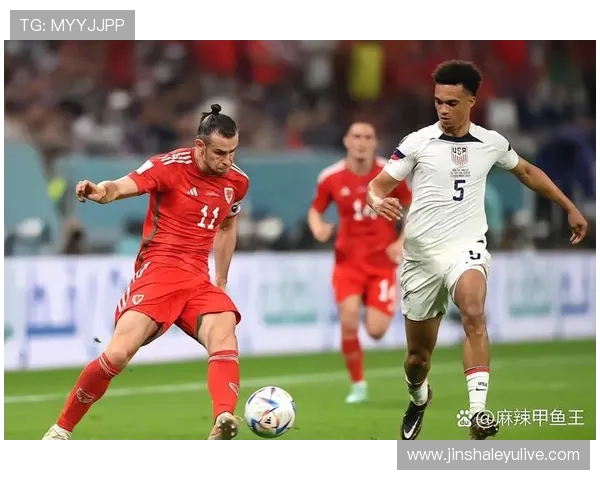 尼斯俱乐部崛起之路：从法甲强队到欧洲赛场的新兴力量