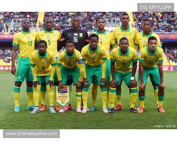 尼日利亚世界杯历程回顾与球队表现分析